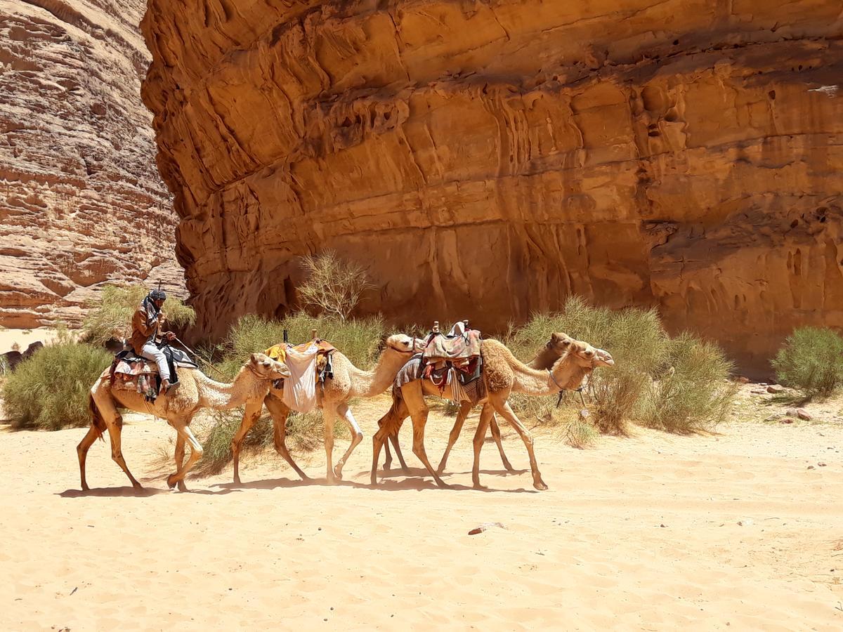 Martian Desert Camp Wadi Rum Eksteriør bilde
