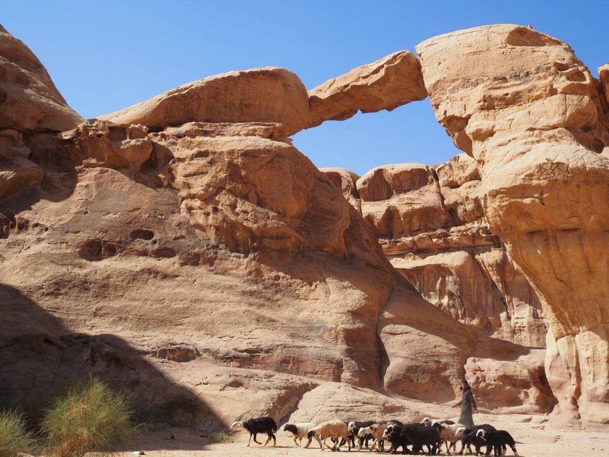 Martian Desert Camp Wadi Rum Eksteriør bilde